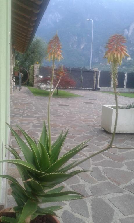 Casavarone Riva del Garda Ngoại thất bức ảnh