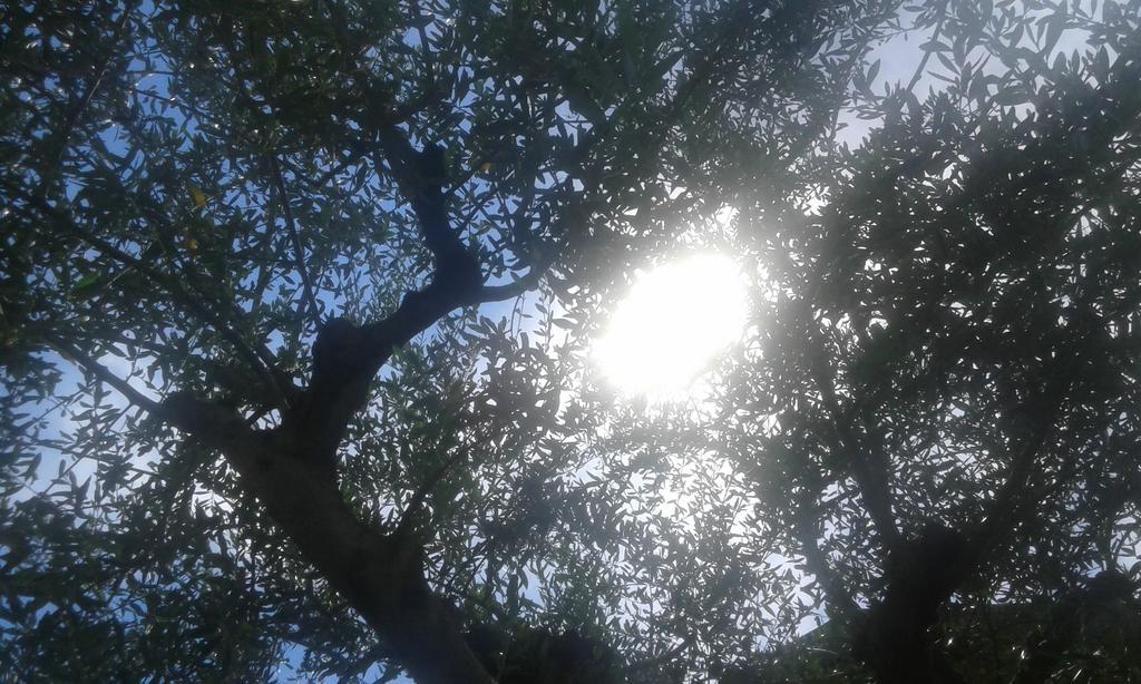 Casavarone Riva del Garda Ngoại thất bức ảnh